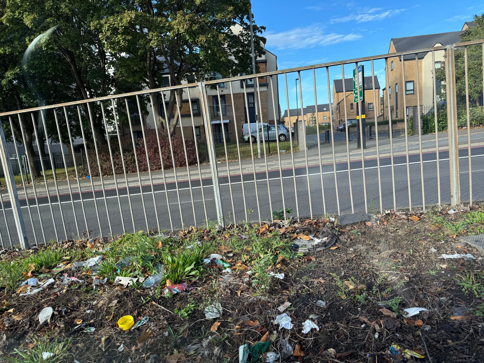 I’ll Eat Later If That’s Cool